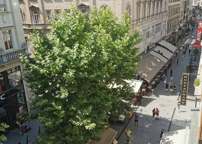 Yogiyo Διαμέρισμα